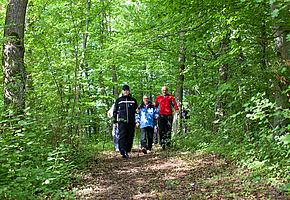 Eine Gruppe von Männern mit Nordic-Walking-Stöcken geht im Wald spazieren.